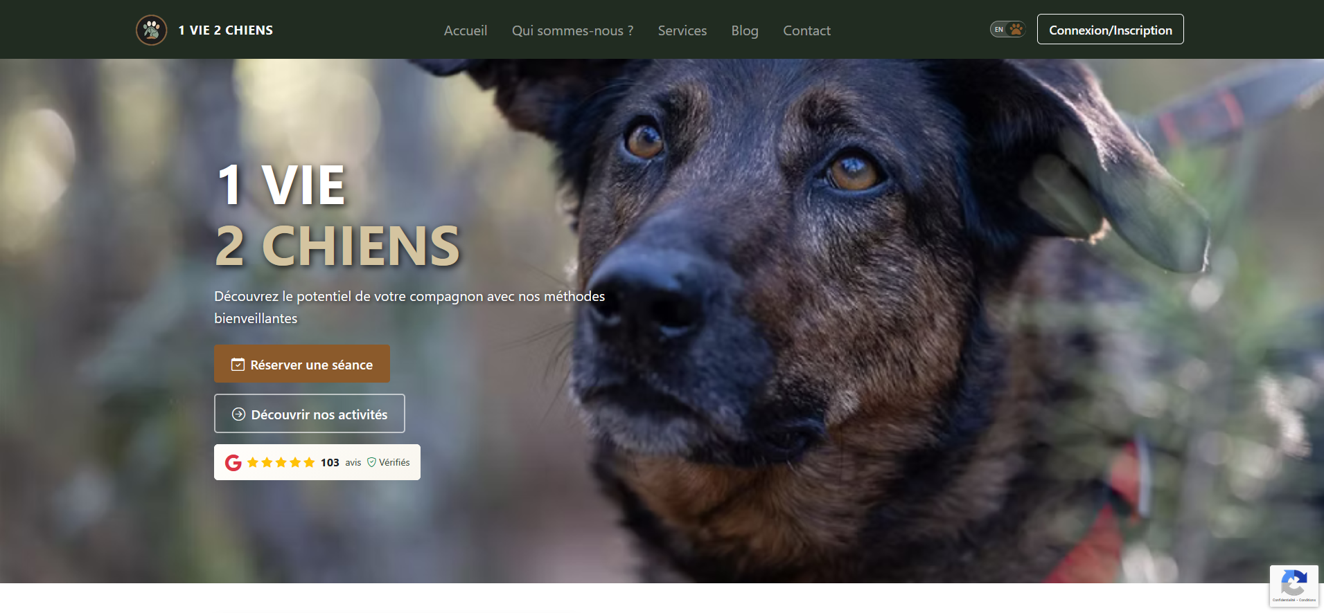 Site Ecommerce 1vie2chiens - Image 1