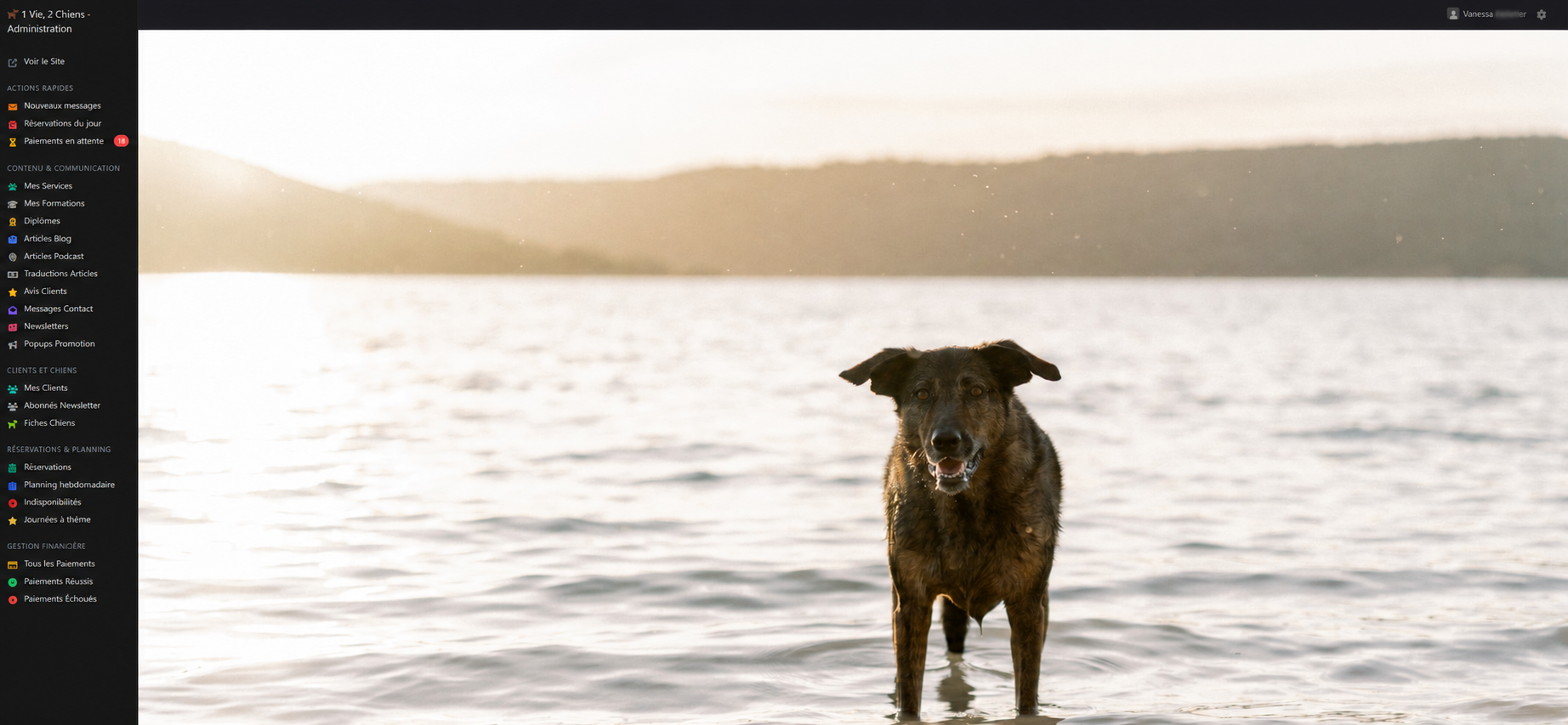 Site Ecommerce 1vie2chiens - Image 5